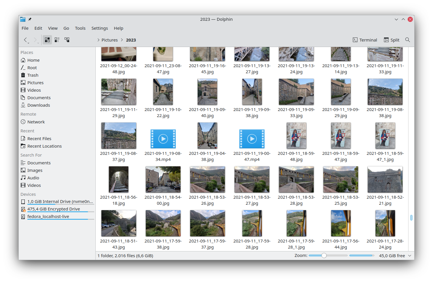 File management in Dolphin
